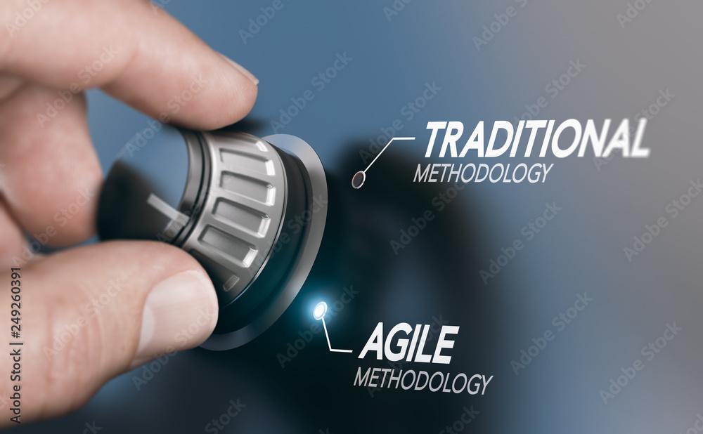 adobestock_249260391_preview.jpeg