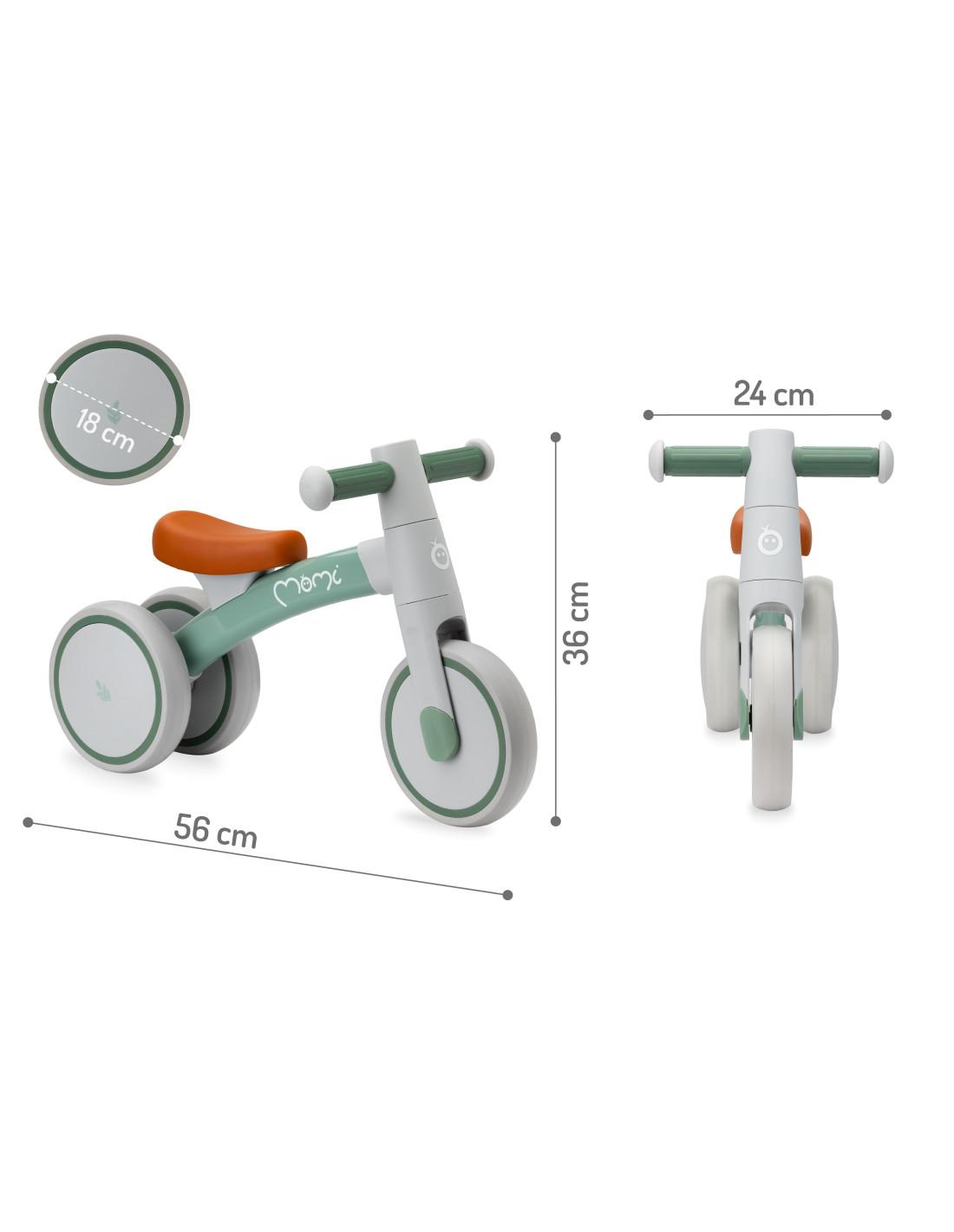 tedi verde 6 (1).jpg