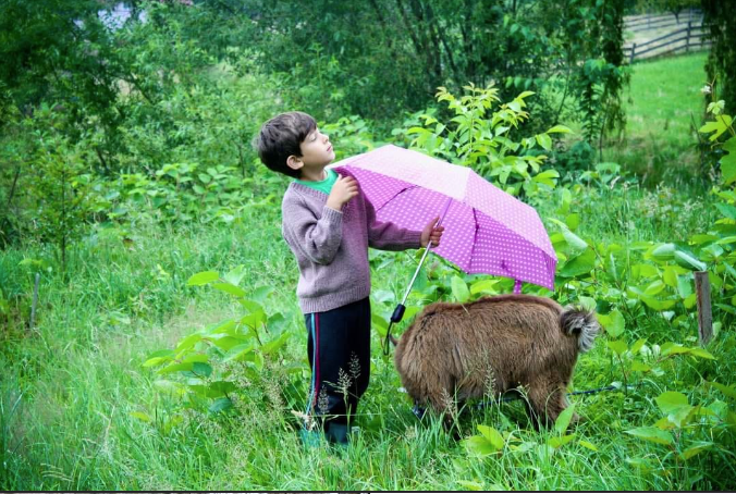 screenshot 2024-05-03 at 12.32.47.png