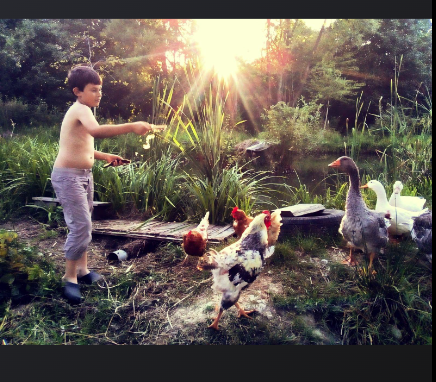 screenshot 2024-06-07 at 15.08.54.png