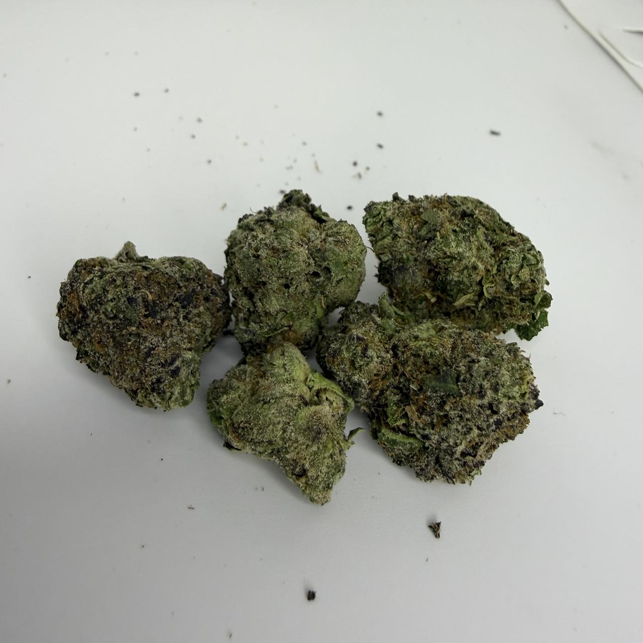 img_1164.jpeg