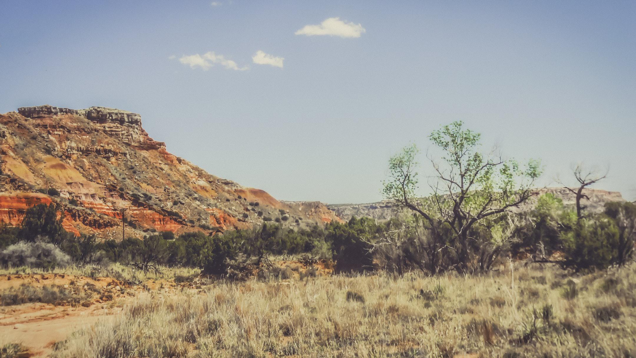 The hot Texas Sun bakes the Palo Duro Canyon landscape.