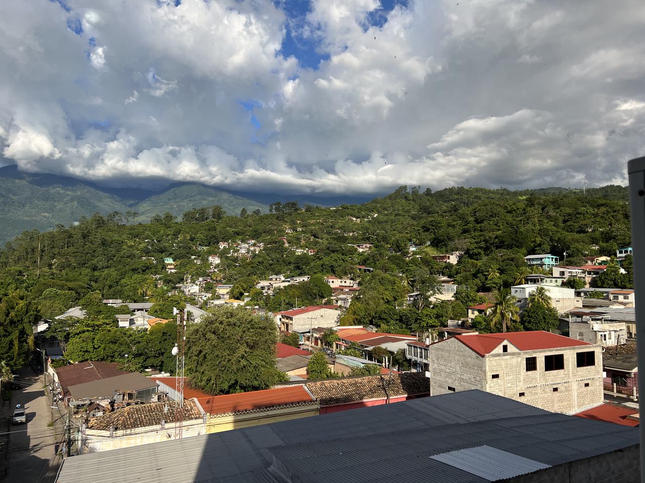 img_0241.jpeg