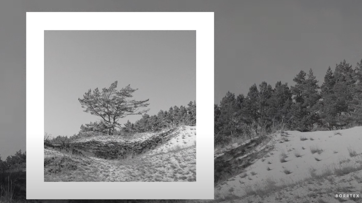 Giving ourselves grace, provides a path to peace