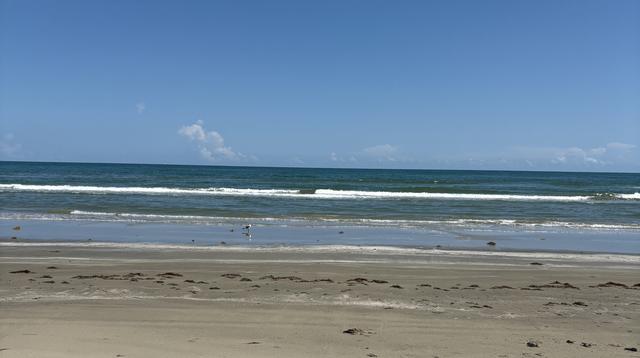 img_1092.jpeg