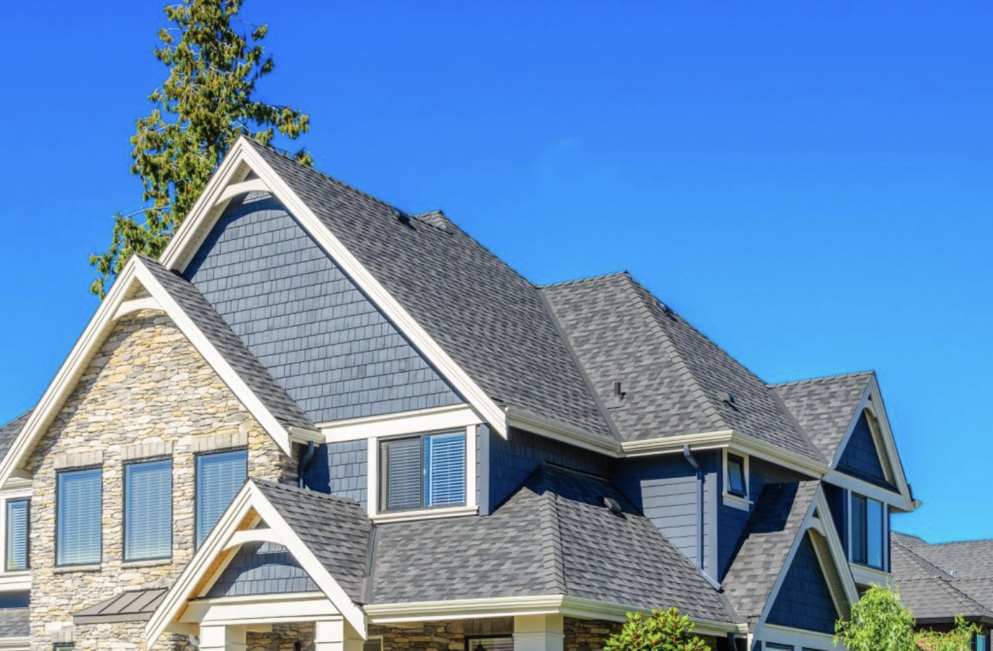 Professional roofing