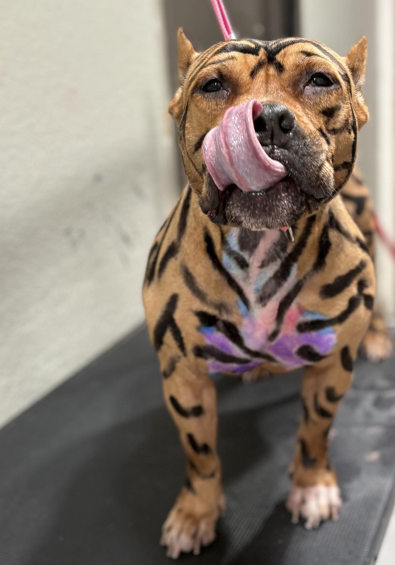 img_2920.jpeg