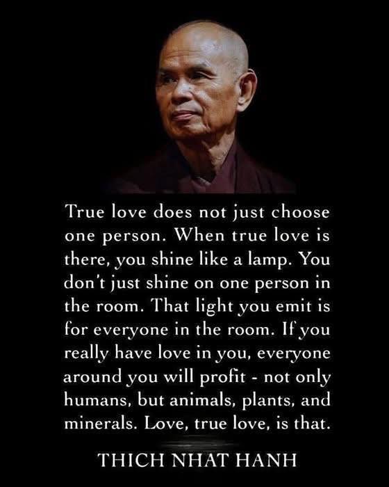 Peaceful, healing therapeutic space with warm lighting and comforting environment