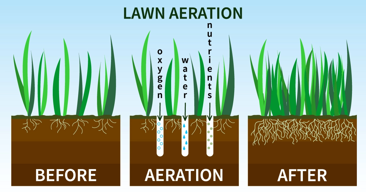 lawn-aeration-whens-the-best-time.webp