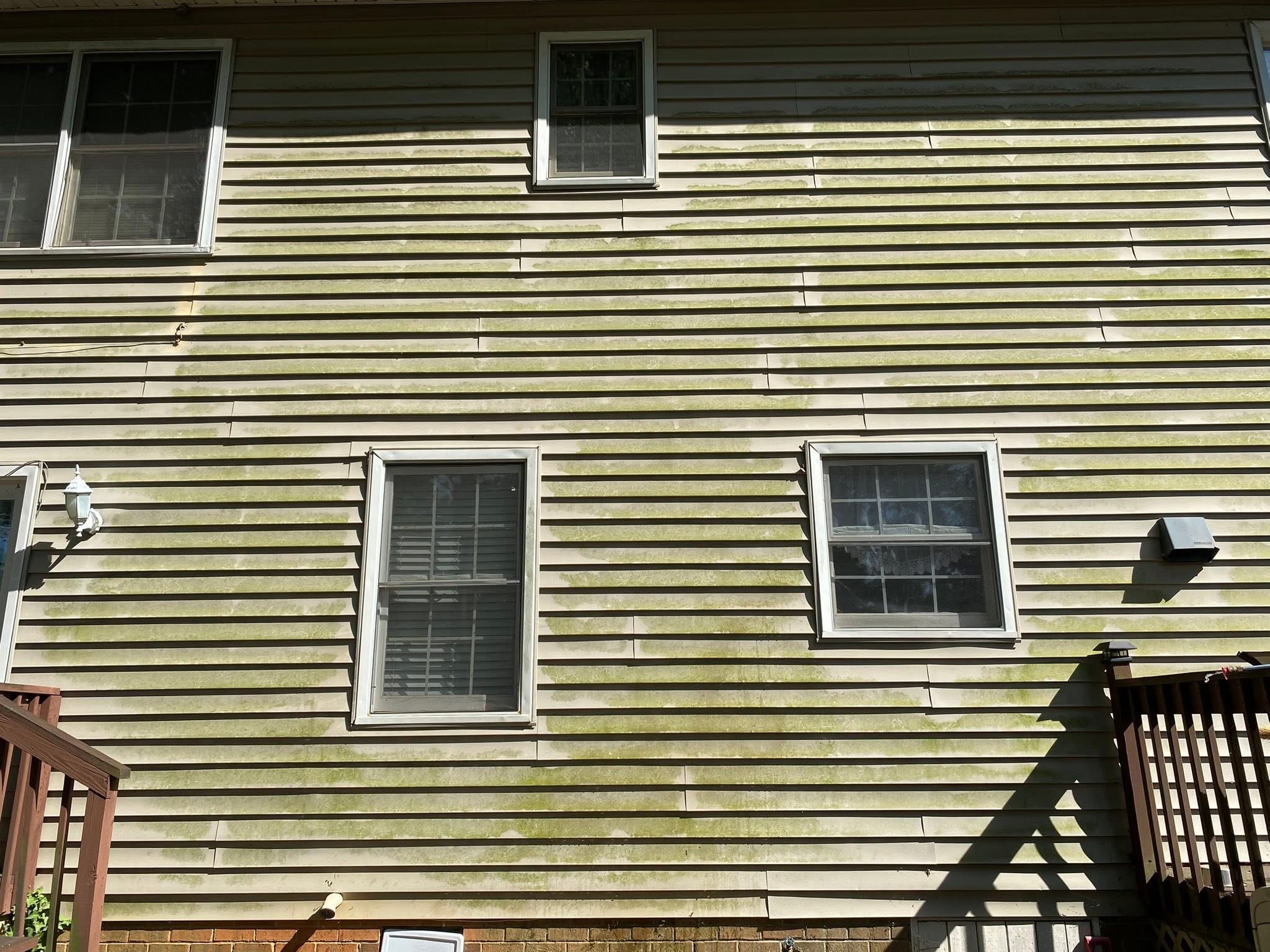 Gallery slide 15