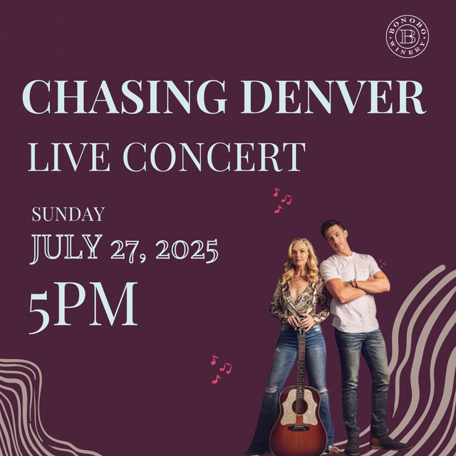 chasing denver concert instagram website graphic.png