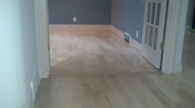 screen shot 2019-11-05 at 6.01.20 am.png