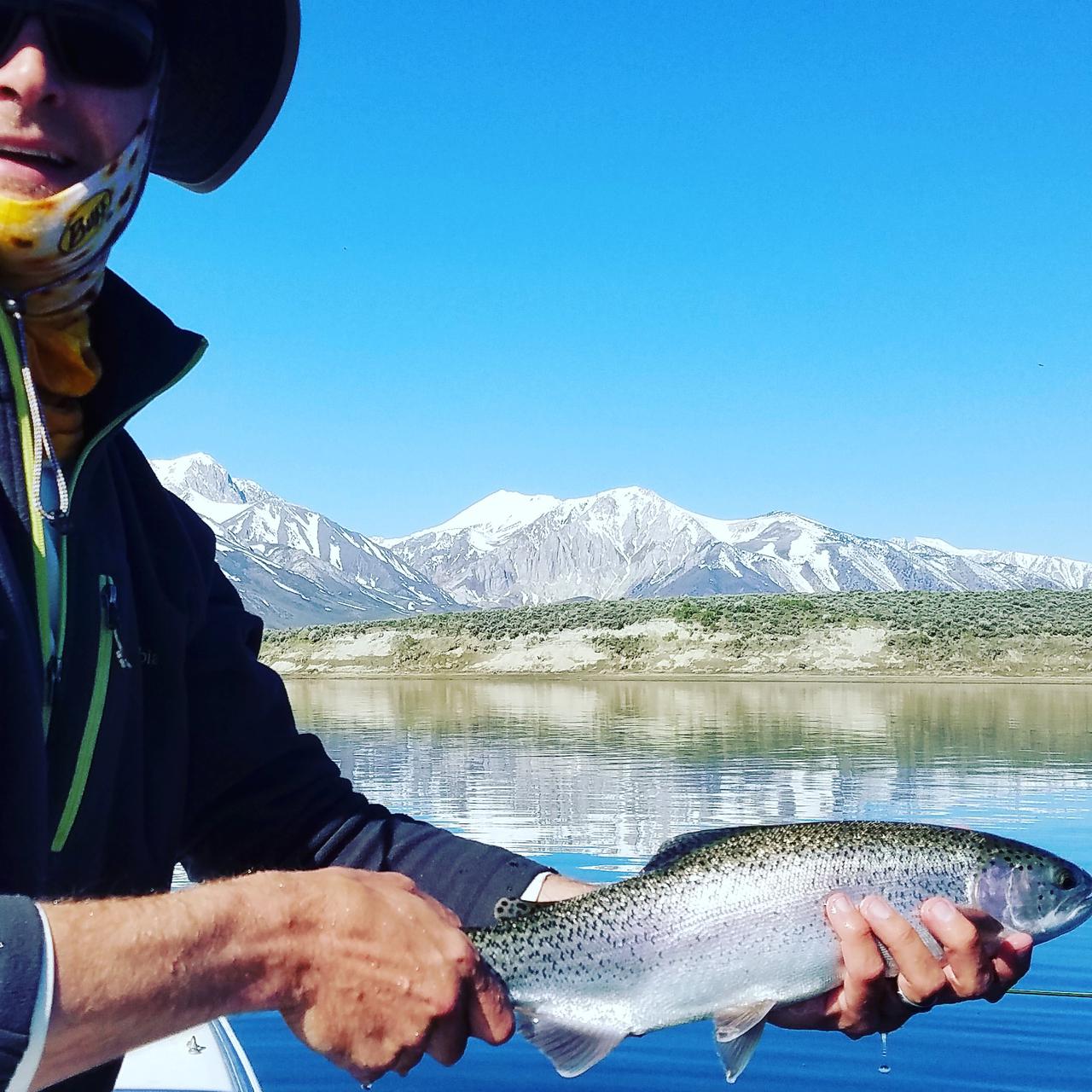 Crowley Lake Fly Fishing Guide Services Guided Fishing Trips