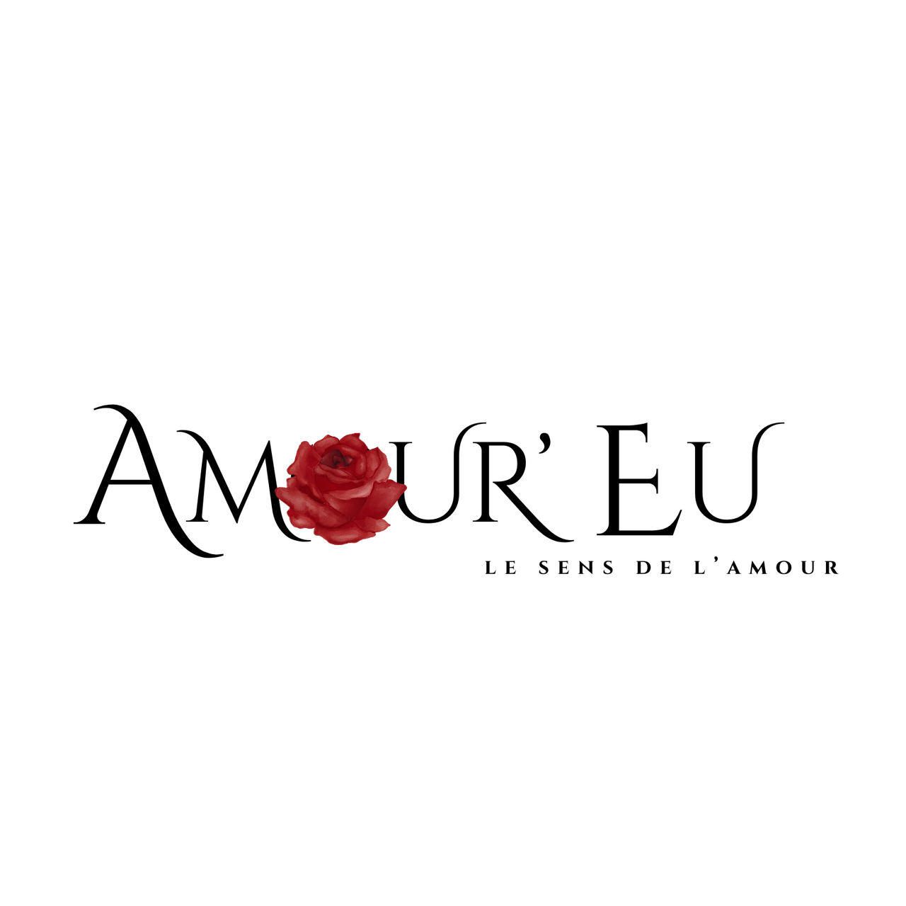 logo noir sans fond .png