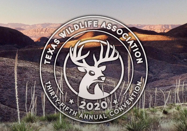 screen shot 2021-01-14 at 2.55.55 pm.png