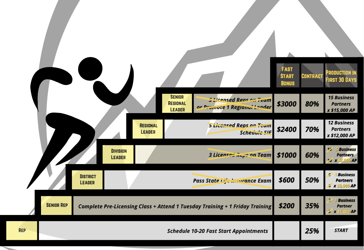 Promotion Guidelines