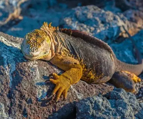 whatsapp bild 2025-08-15 um 12.07.06_069ef985.webp