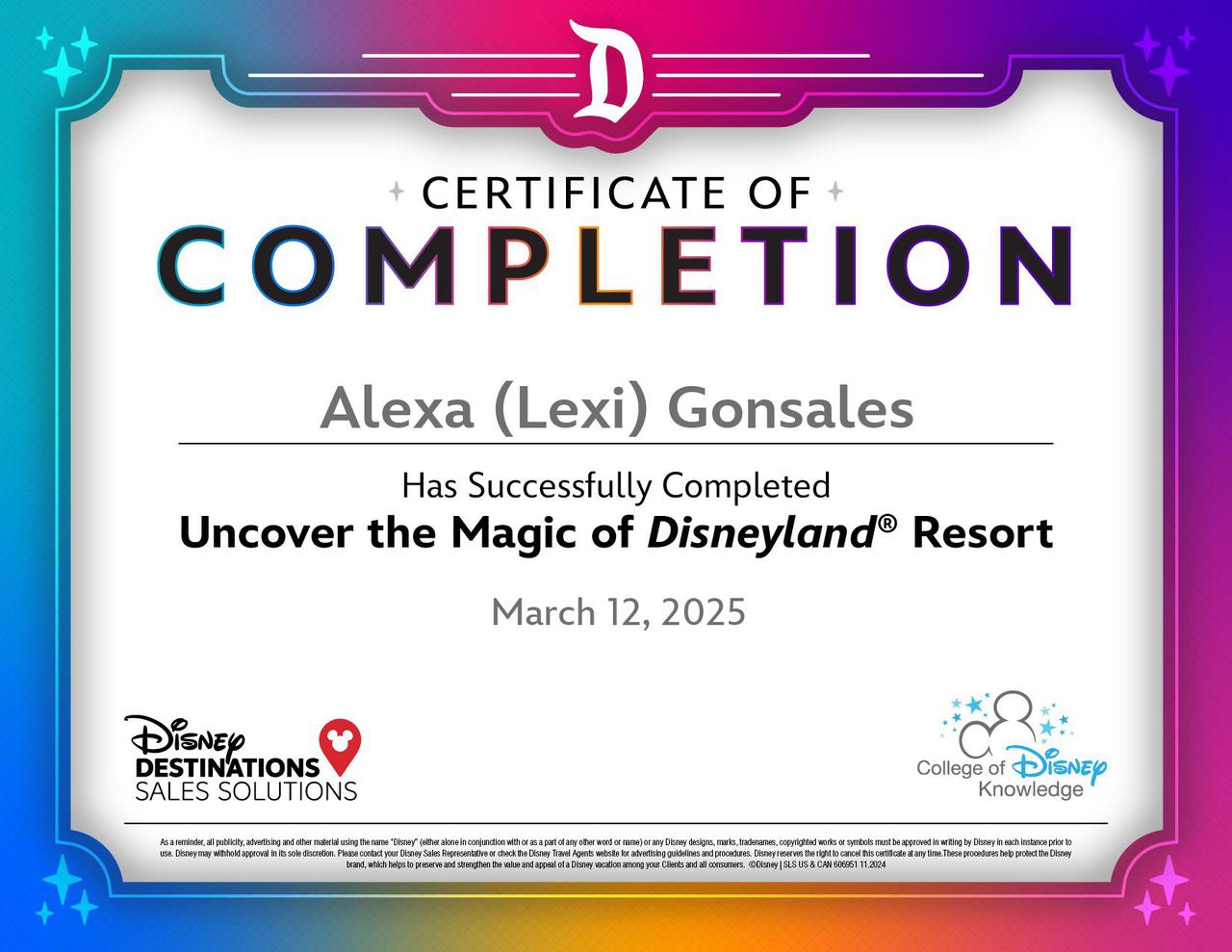 magic of disneyland resort.jpg