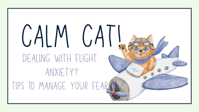 calm cat.webp