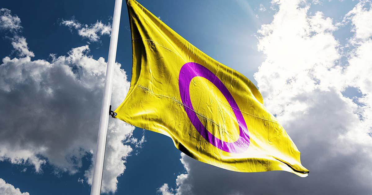 intersex-flag.jpg