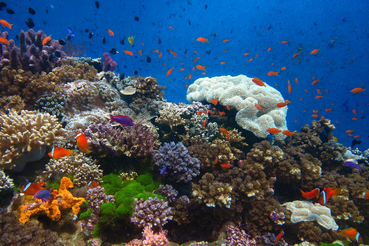 chatgpt image nov 24, 2025, 02_18_37 pm.png