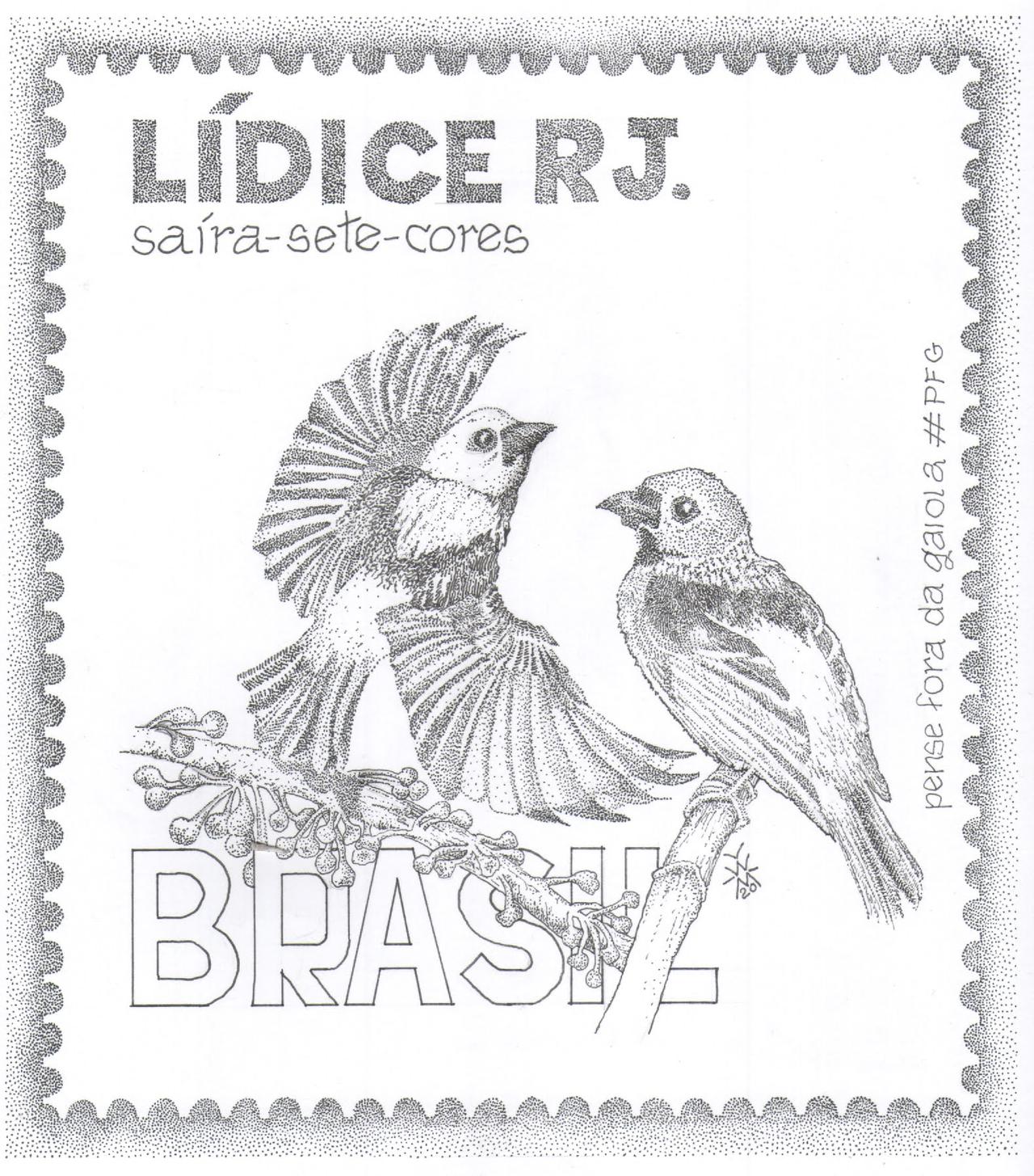 saira 7 cores - pfg aves de lidice.jpg