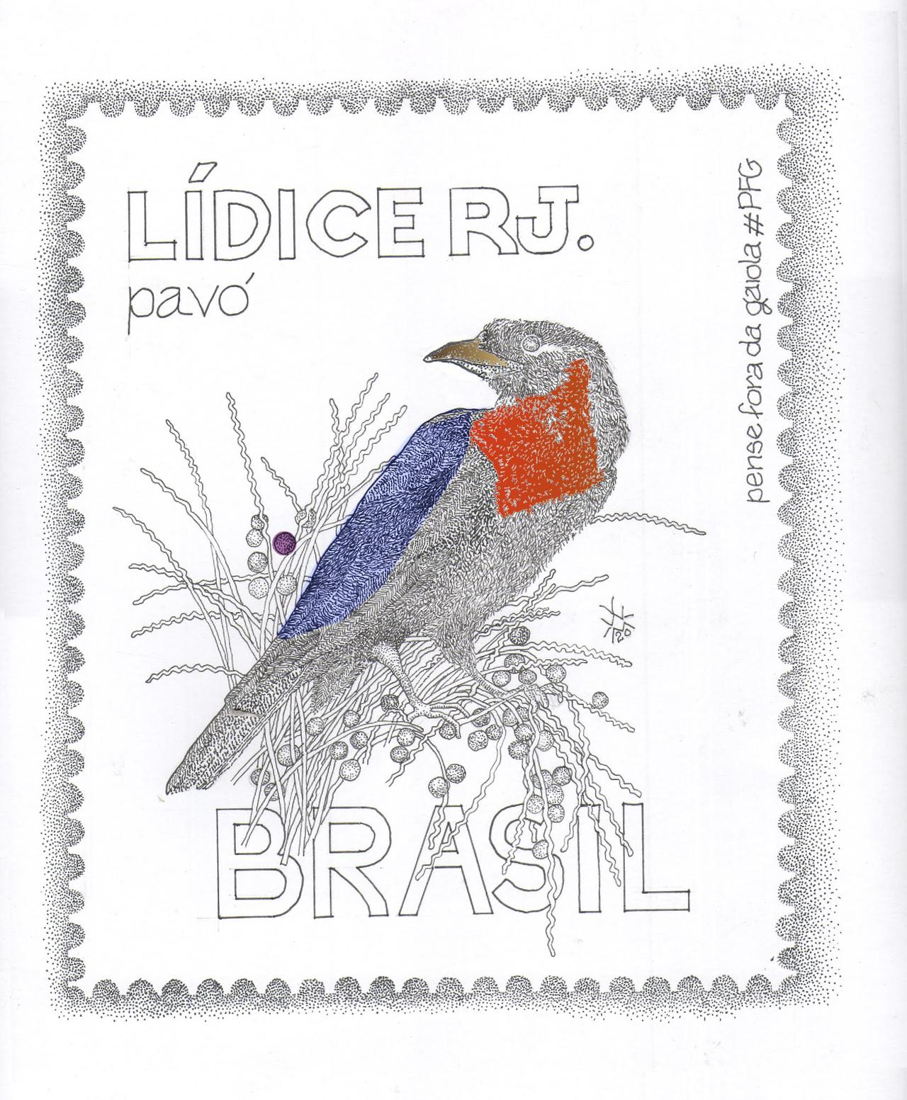 pavo - pfg aves de lidice  color teste.jpg