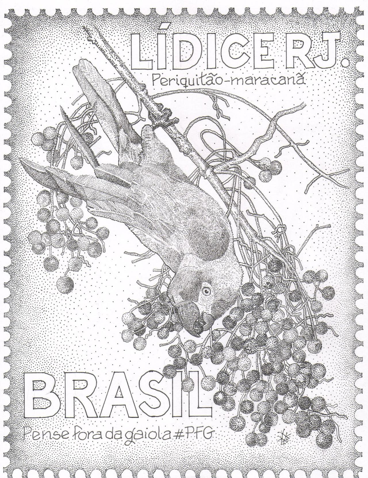 periquitao - pfg aves de lidice.jpg