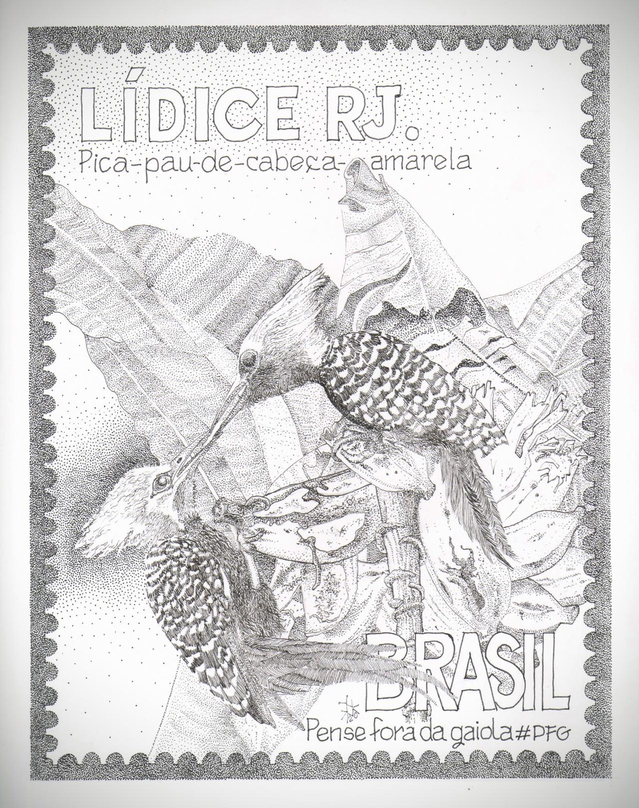 picapau cabeca amarela- aves de lidice.jpg