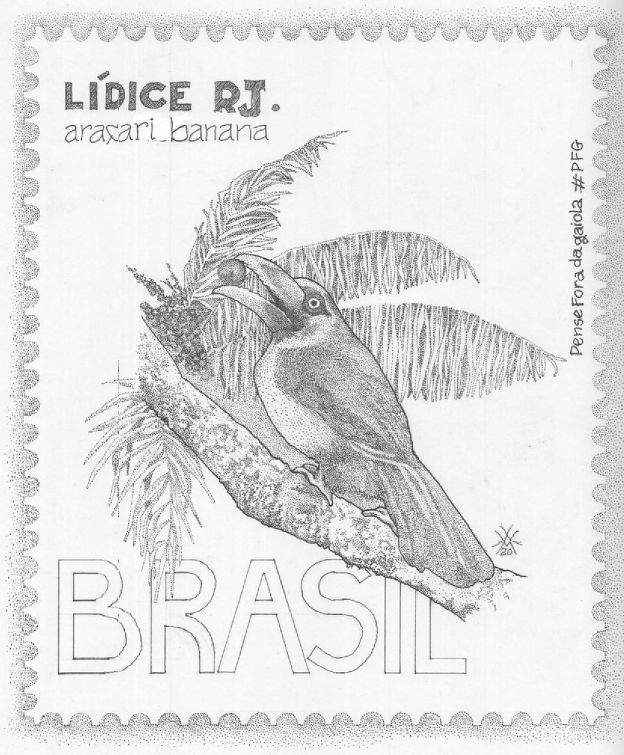 acari banana - pfg aves de lidice.jpg
