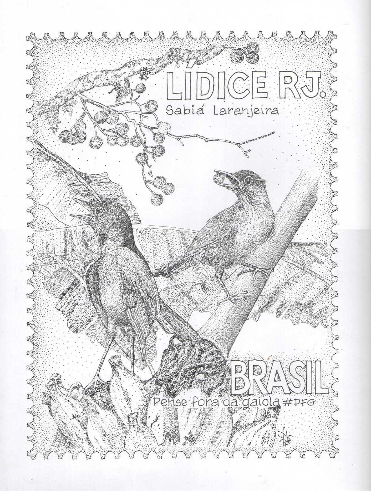 sabia laranjeira - pfg aves de lidice.jpg
