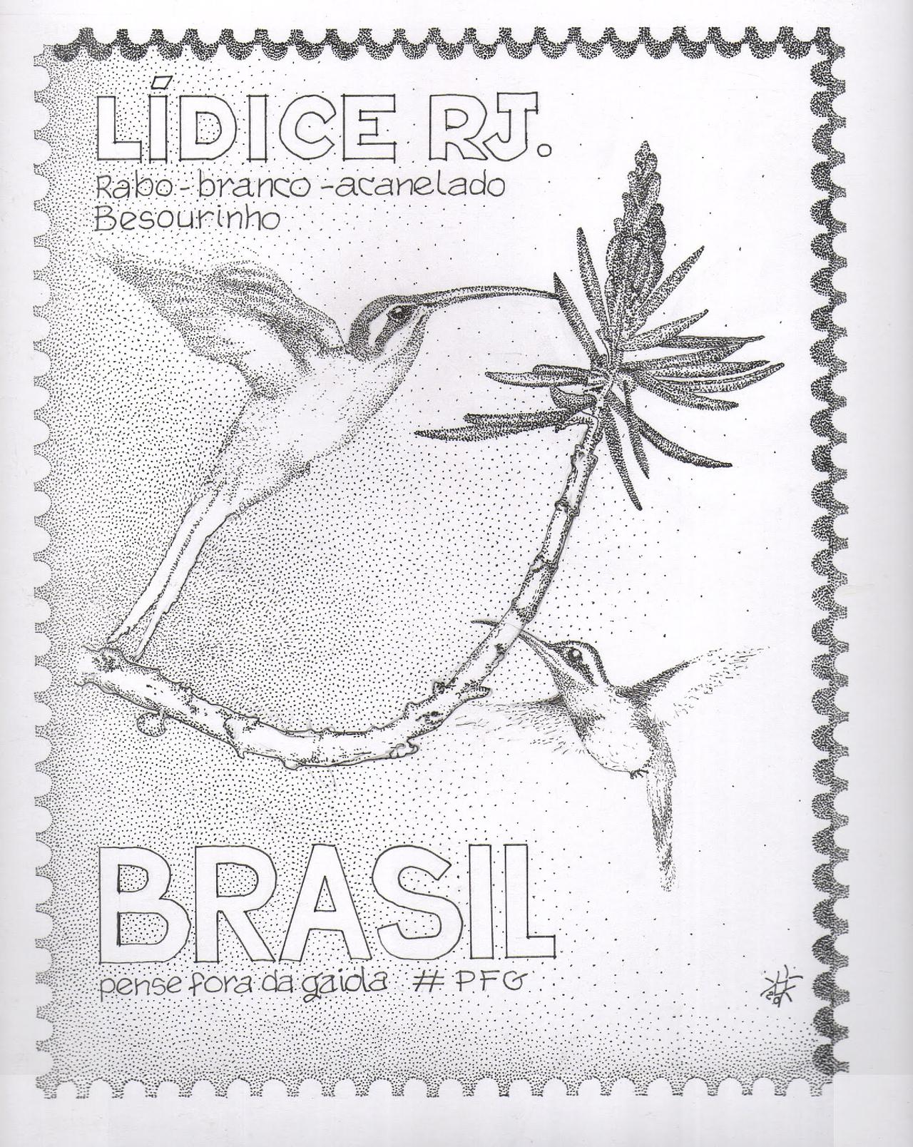 besourinho - pfg aves de lidice.jpg