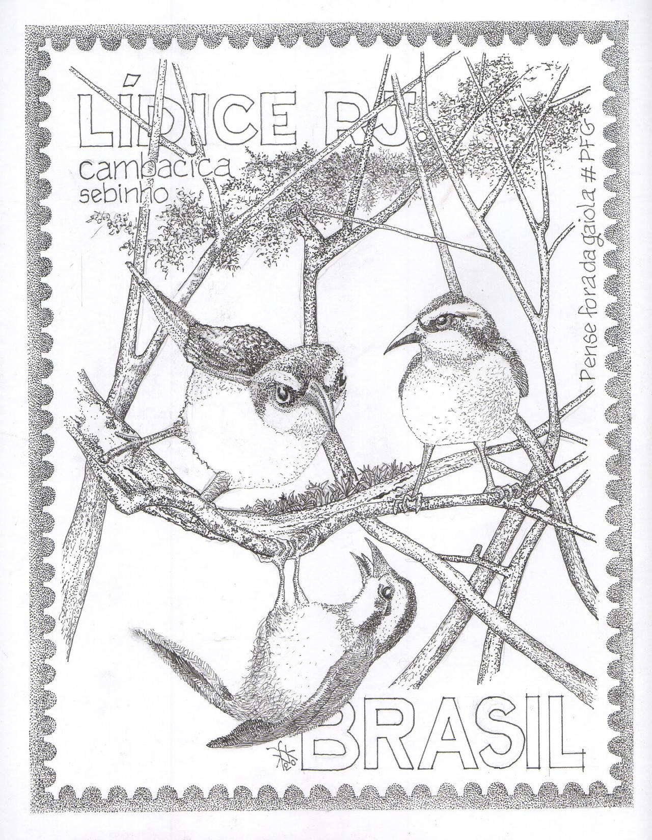 cambacica - pfg aves de lidice.jpg