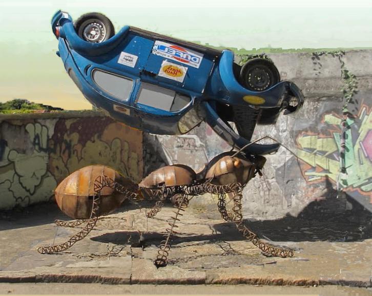 formiga e o fusca.jpg