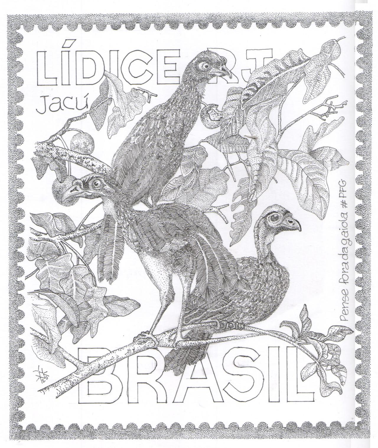 jacu - pfg aves de lidice.jpg