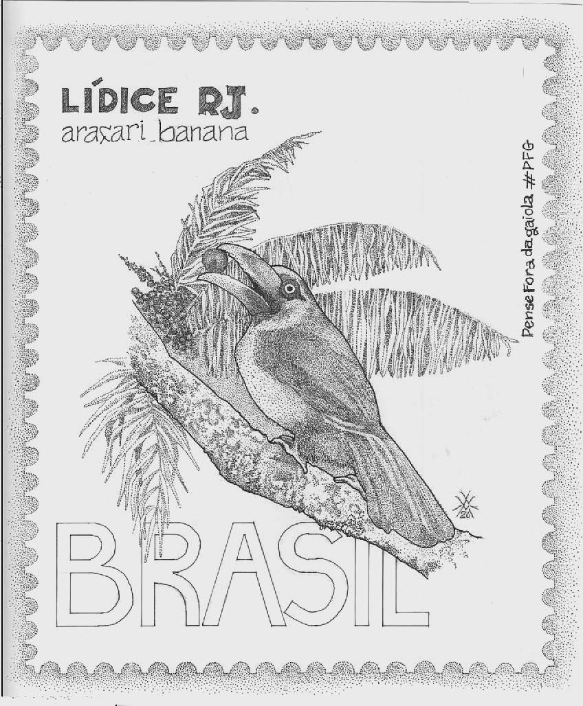 araçari banana aves de lidice.jpg