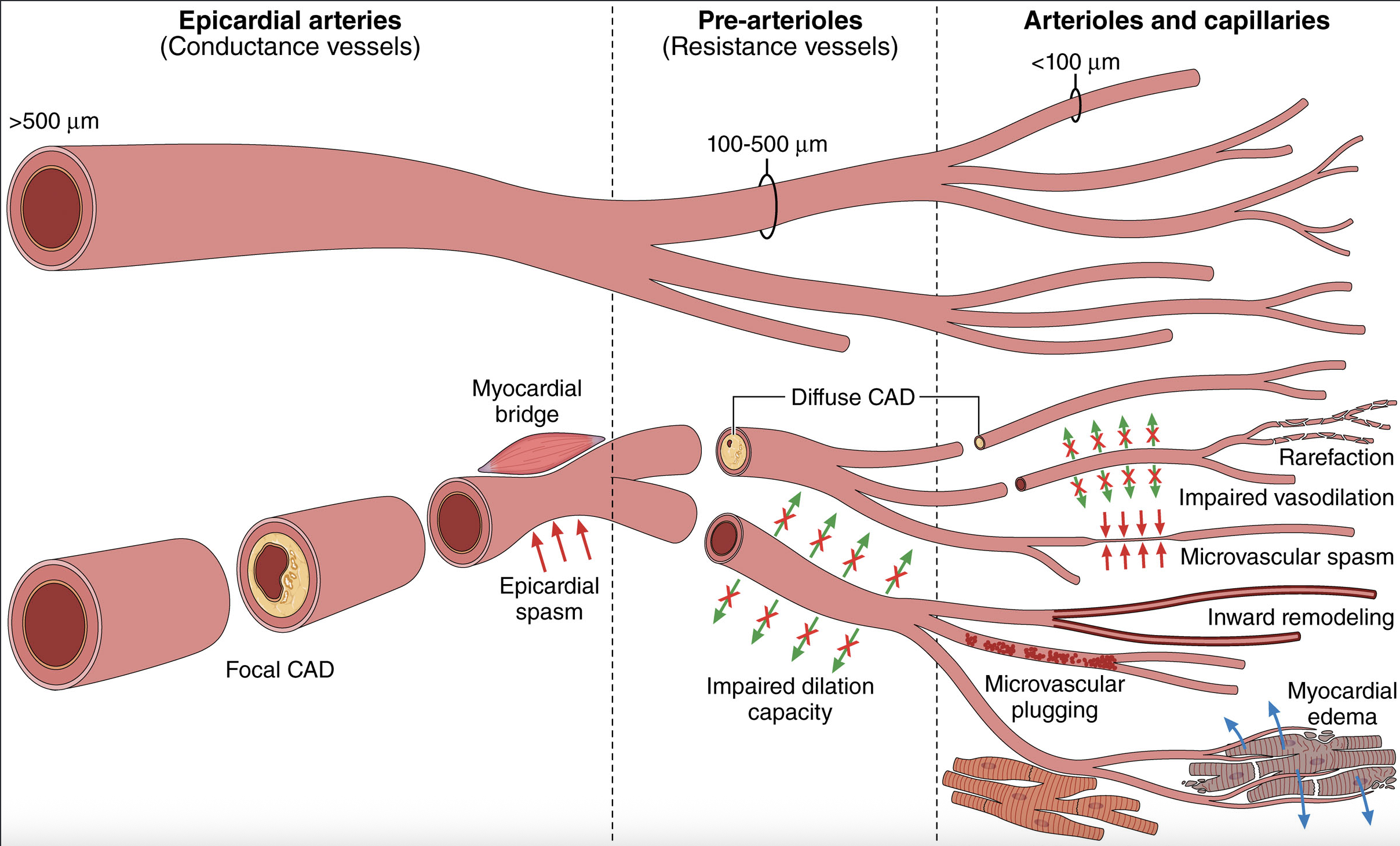 screenshot 2025-06-20 at 07.19.06.png