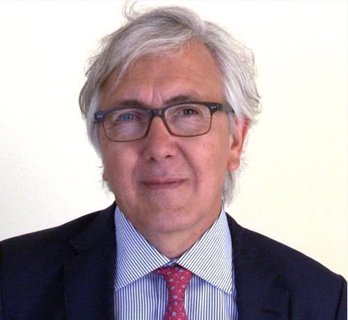 Prof Javier Escaned