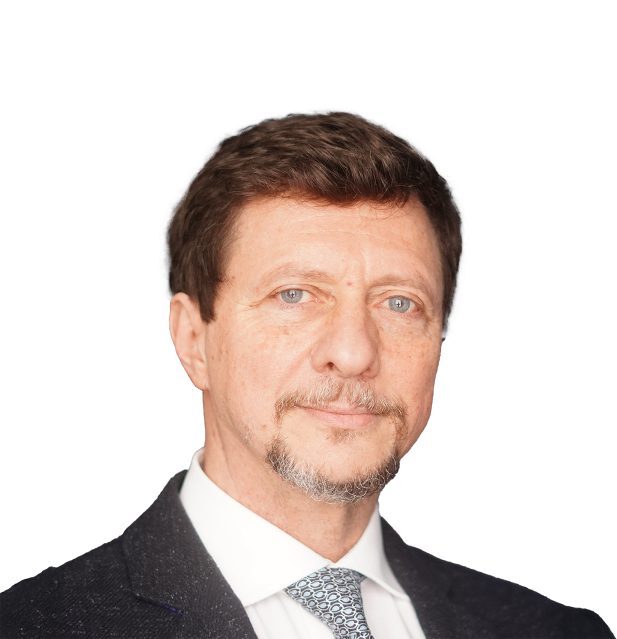 flavio ribichini-expanded-trans.png