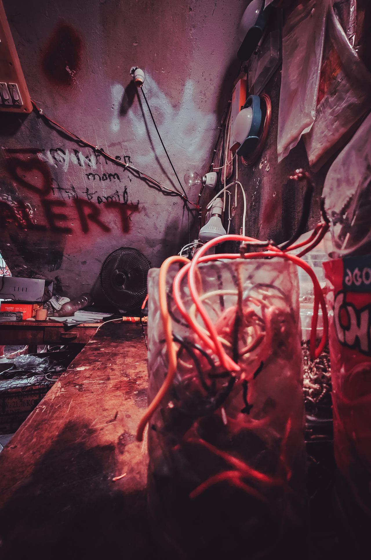 img20230812154909 (2).jpg