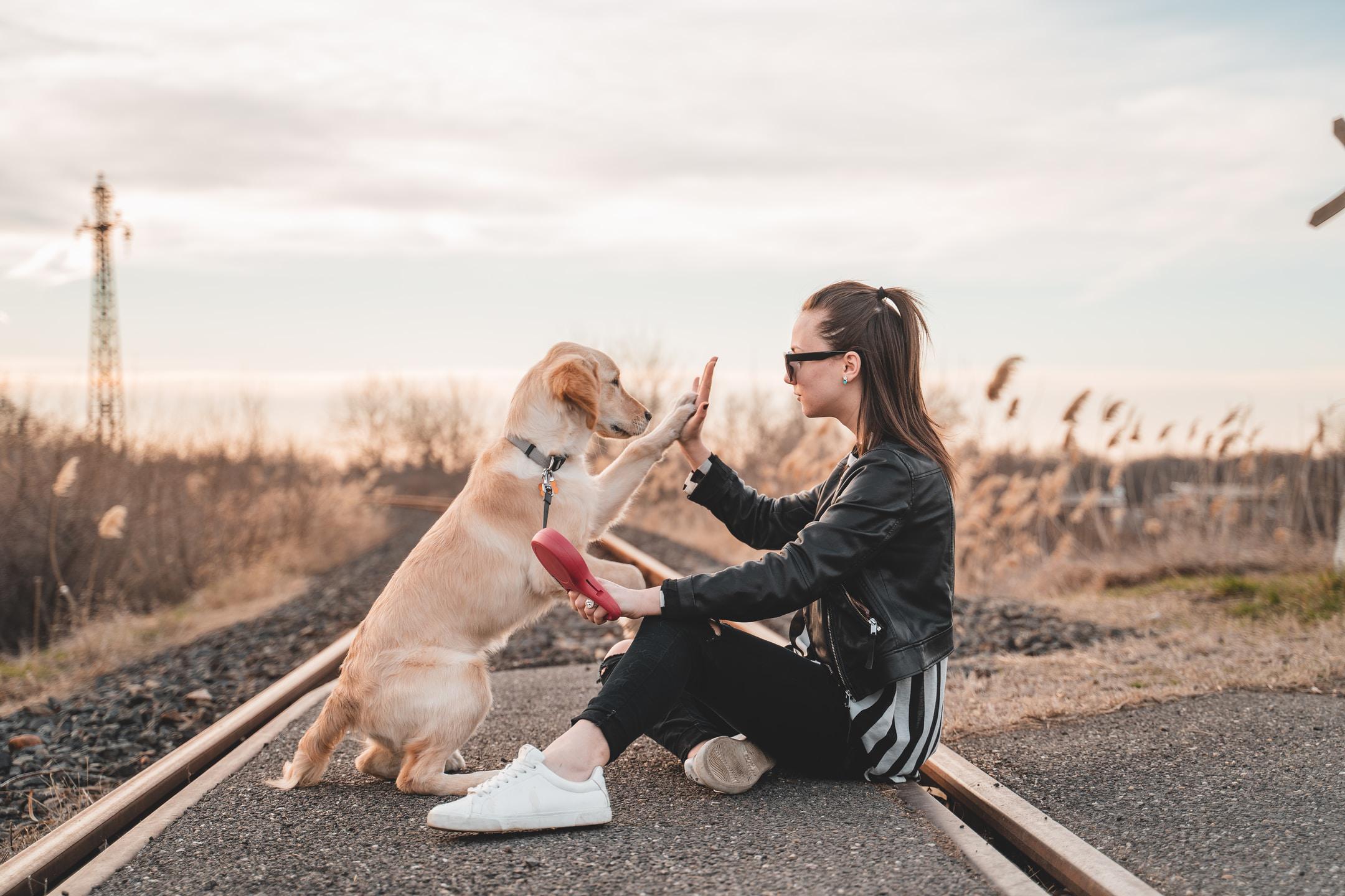 A girl high-fiving a dog