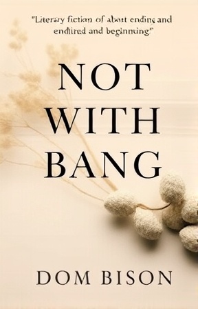 Not With a Bang book cover