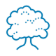 oak tree.png