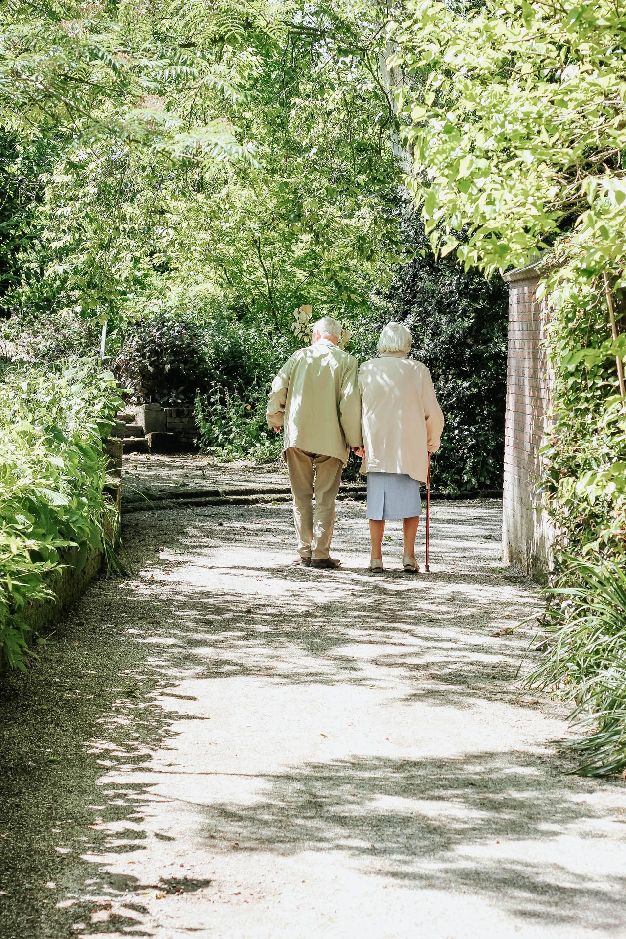 Elderly couple taking a walk through the park. Arboretum Trompenburg, Rotterdam.