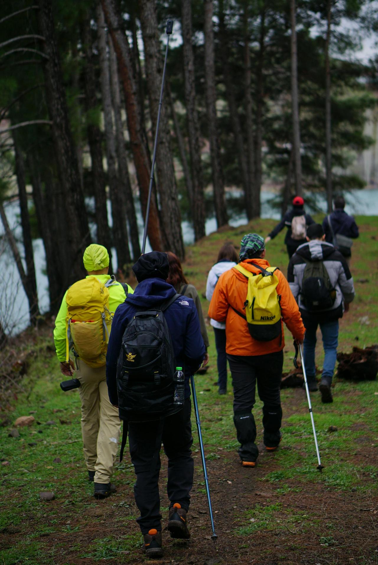A group of hikers exploring the lush forests of Kahramanmaraş, Türkiye.