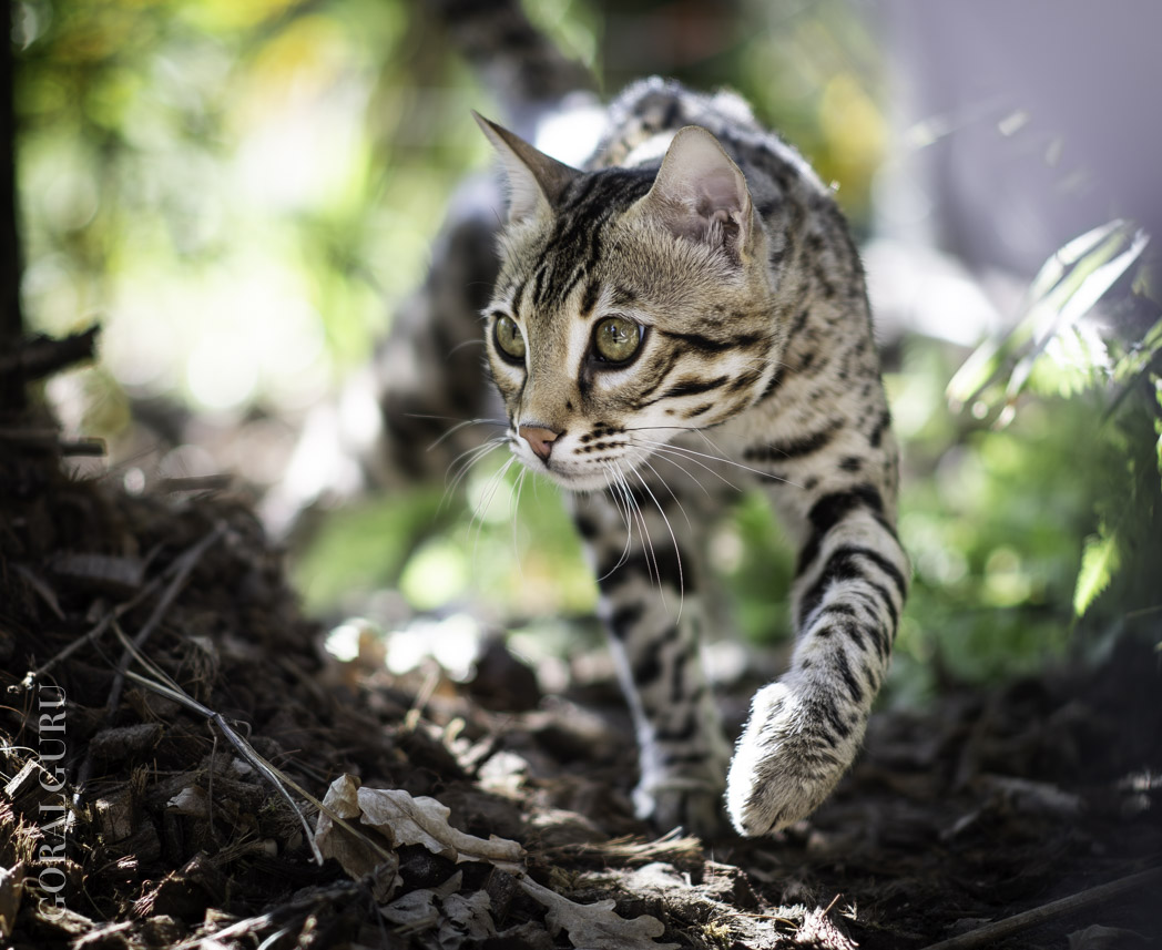 Louis exploring outdoors