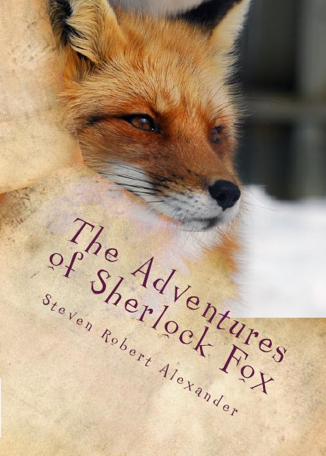 sfox_front.jpg