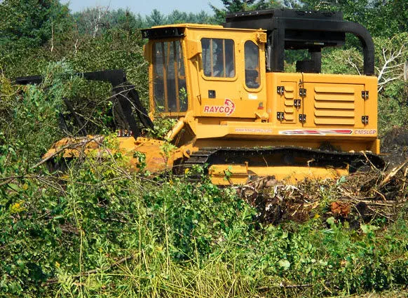 Professional land clearing and vegetation management services