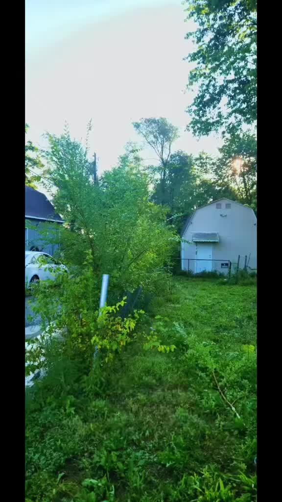 Budget-friendly yard clean-up, leaf removal, and debris hauling in Indianapolis. CasaLux Outdoor Solutions keeps your lawn looking its best.