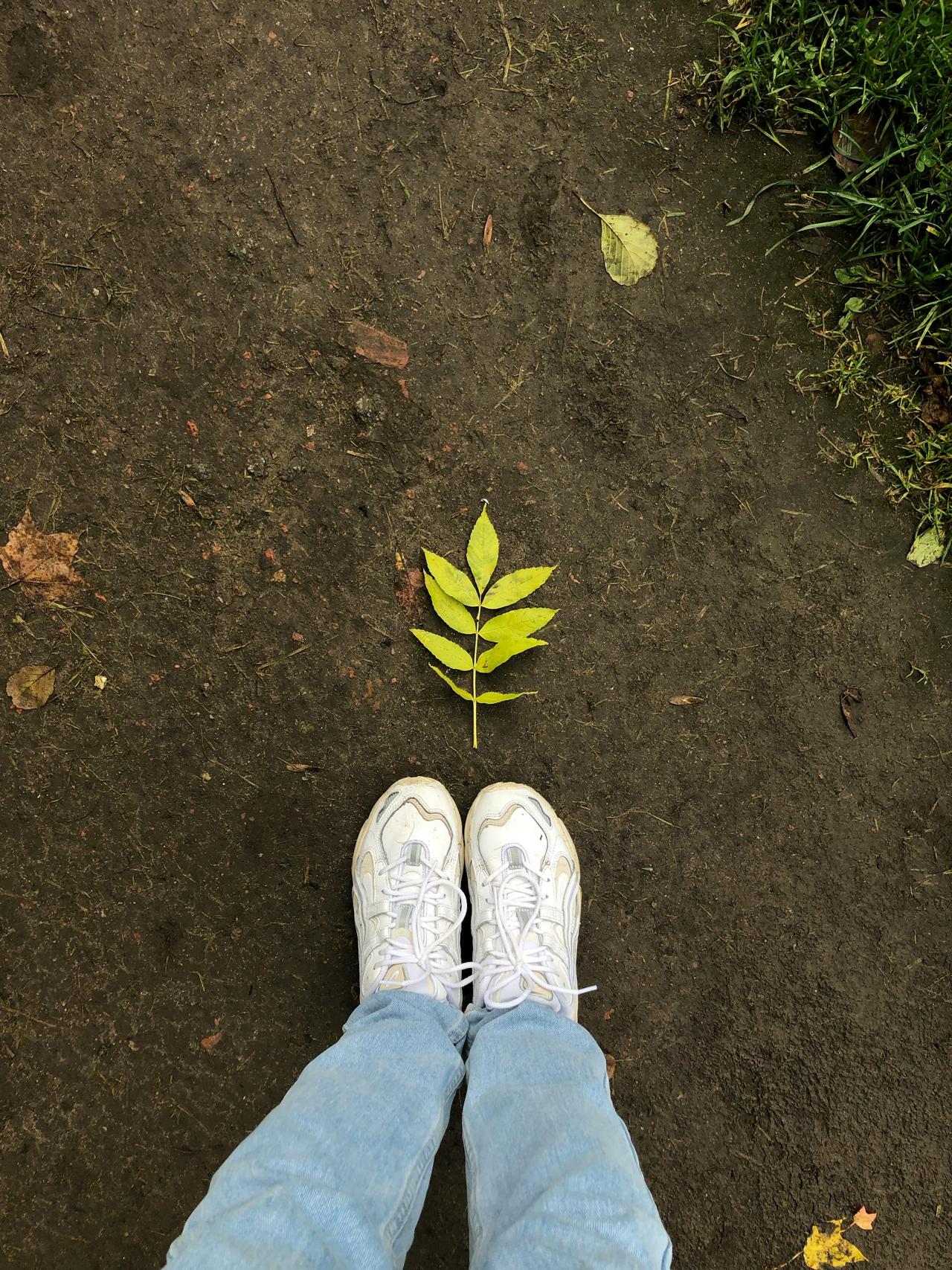 Casual sneakers and green leaf on a dirt path, symbolizing nature and urban life.